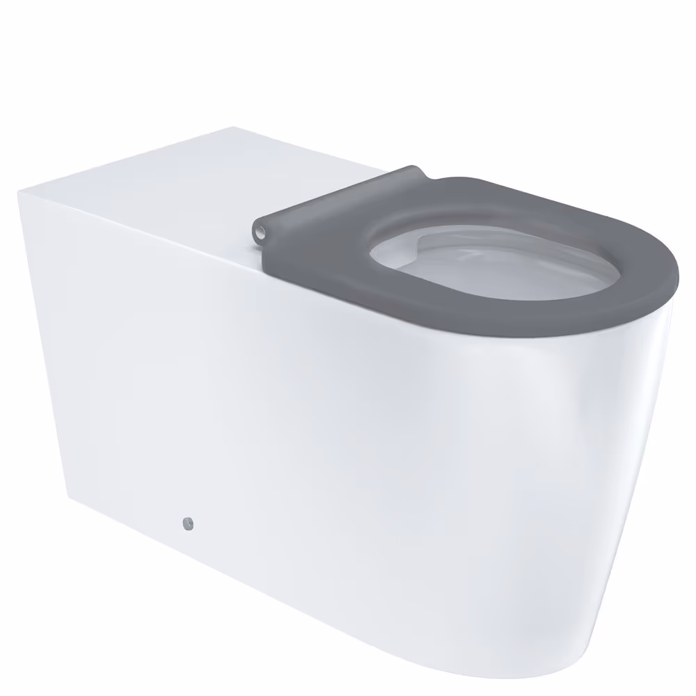 Accessible Option: Fienza Isabella Care Wall-Faced Suite